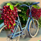 Bikingforberries